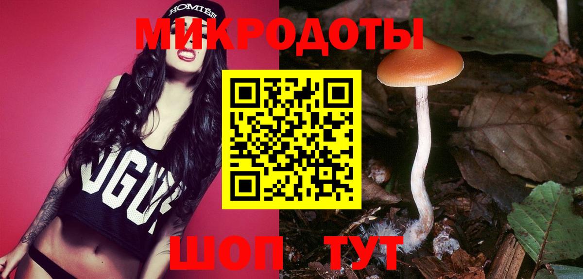 Нарткала  Псилоцибиновые грибы мухоморы  Псилоцибиновые грибы Psilocybe  как найти закладки  Вход с VPN 